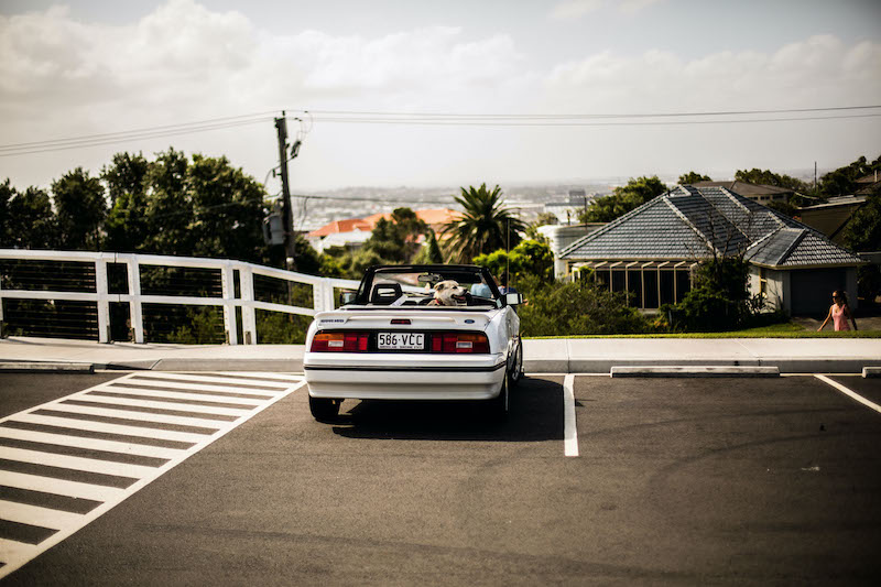 buy a car nz